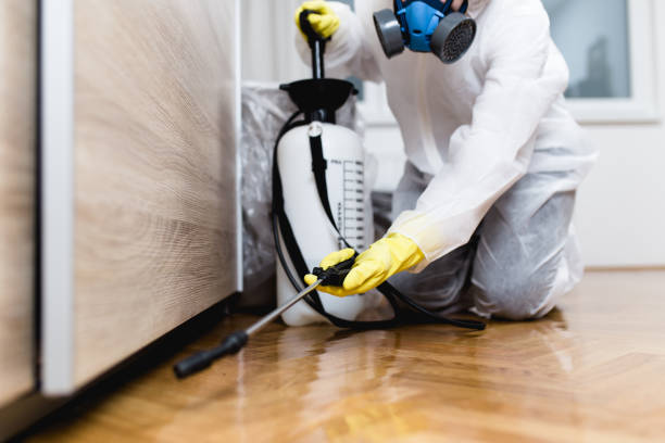 Best Cockroach Control Services  in Lomira, WI