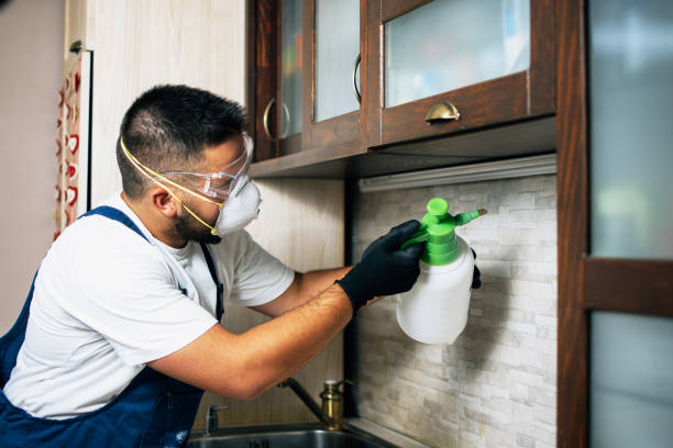 Pest Control Cost in Lomira, WI