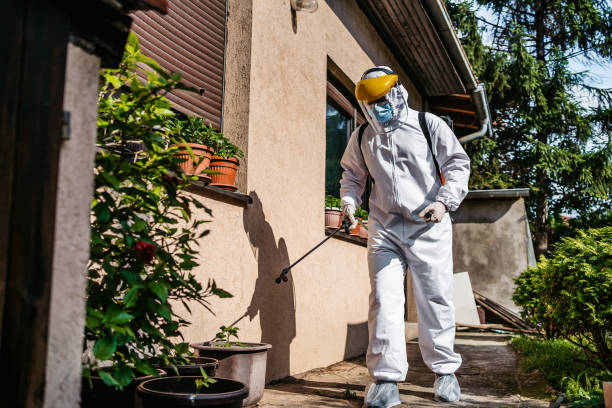Best Wasp Removal Services  in Lomira, WI