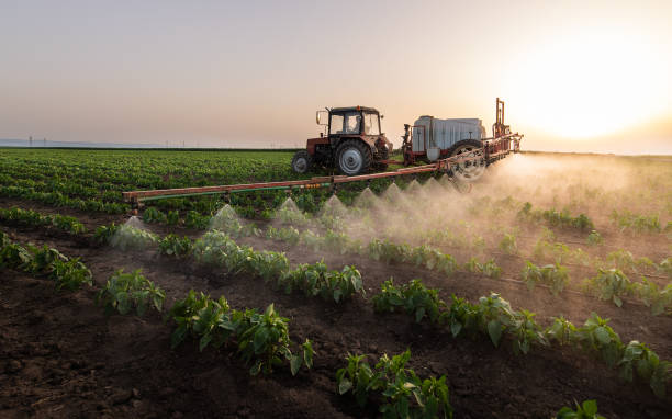 Best Pest Removal Services  in Lomira, WI