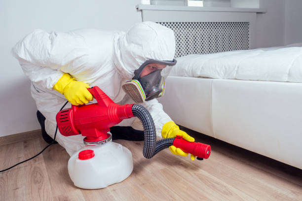 Best Affordable Pest Control Services  in Lomira, WI