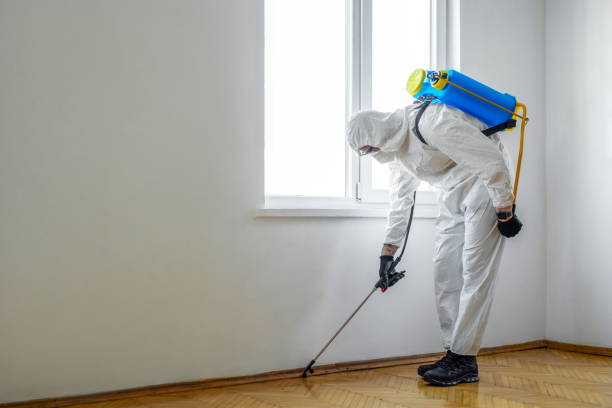 Best Commercial Pest Control Services  in Lomira, WI