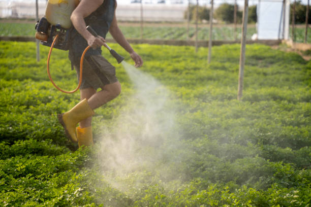 Best Best Pest Control Near Me  in Lomira, WI