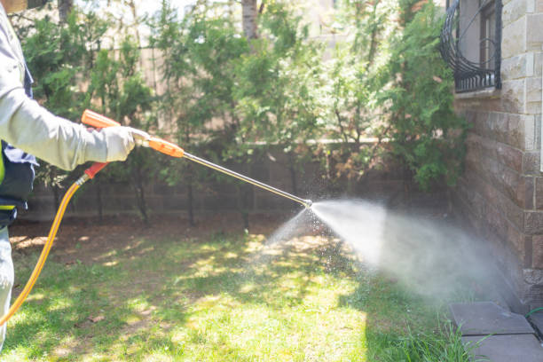 Best Rodent Control Near Me  in Lomira, WI