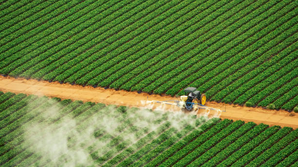 Best Pest Inspection Near Me  in Lomira, WI