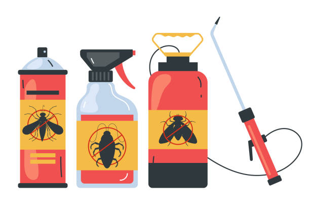 Best Insect Control  in Lomira, WI