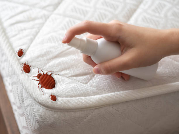 Best Pest Prevention Services  in Lomira, WI