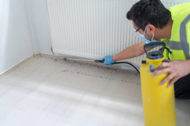 Best Local Pest Control Services  in Lomira, WI