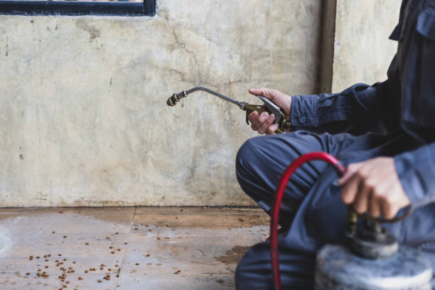 Best Pest Control Near Me in Lomira, WI