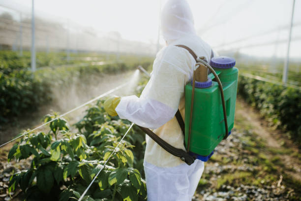  Lomira, WI Pest Control Pros